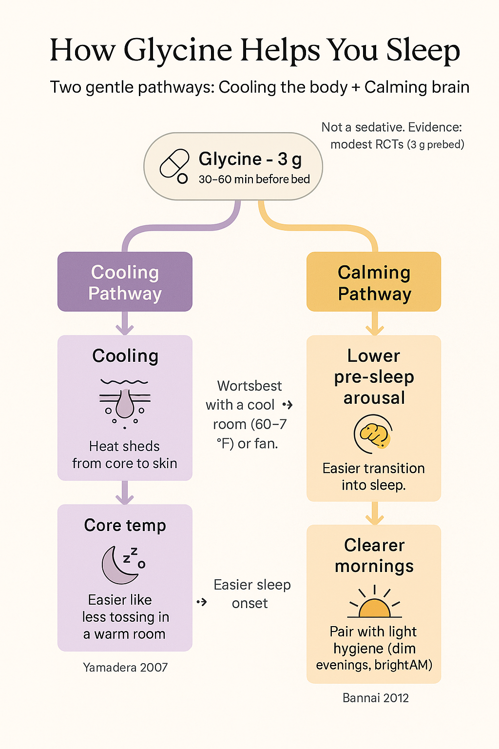 Diagram showing how glycine cools the body and calms the brain
